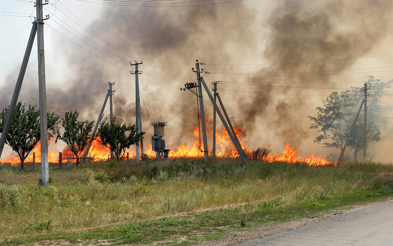 sentient-energy-stock wildfire mitigation